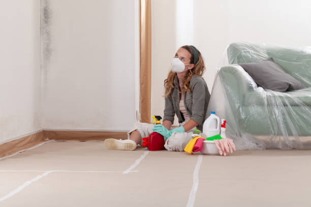 Reliable Commercial Mold Remediation contractor in Queen Creek, AZ by WQB Mold Removal